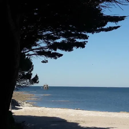 Vue Mer Avec Jardin Daire *